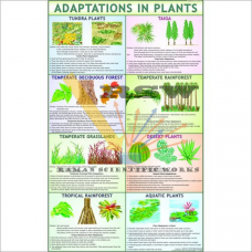 Adaptation in Plants-vcp