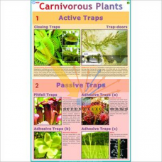 Carnivorous Plants-vcp