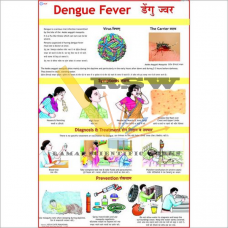 Dengue Fever-vcp
