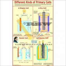 Different Kinds of Primary Cells-vcp
