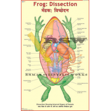 Human Dissection-vcp