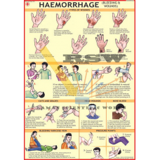 Haemorrhage (Bleeding & Wounds)-vcp
