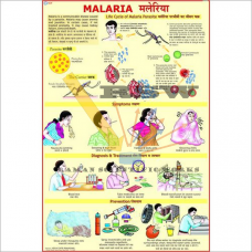 Malaria-vcp