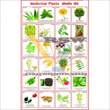 Medicinal Plants -vcp