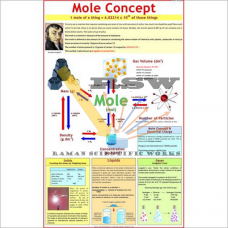 Mole Concept (Avogadro’s Hypothesis)-vcp