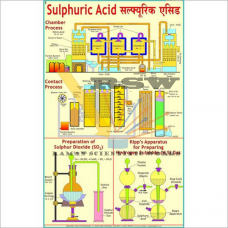 Preparation of Sulphur Dioxide & Sulphuric acid by Chamber and Contact Process Big-vcp
