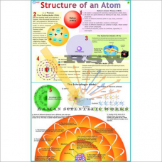 Structure of Atom-vcp