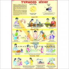 Typhoid-vcp