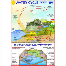 Water Cycle-vcp
