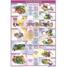 Vitamins & Rich Food in Vitamins & its Deficiency