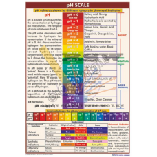 pH Scale (Universal Indicator)