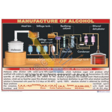Manufacture of Alcohol